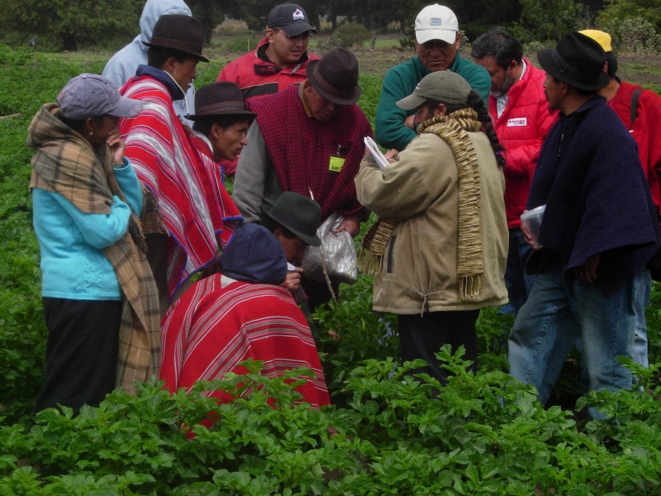 International Potato Center (CIP) and its partners awarded 2018 International IPM Awards of Excellence for their work on Integrated management of potato late blight using FFS International Potato Center (CIP) and its partners awarded 2018 International IPM Awards of Excellence for their work on Integrated management of potato late blight using FFS